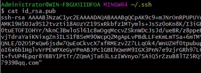 image-20201119210205381